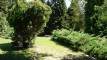 Arboretum Lisičine 8.8.2025. &#8211; Bez ptica