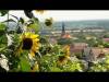 Tri Bukovice u jednom danu, 29.7.2026.
